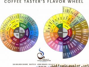 FlavorWheel.JPG