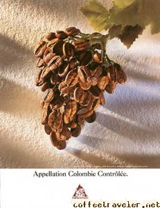 JV appellation