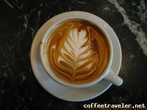 Latte wheatflower VIVACE