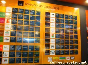 LuccaSele    o
