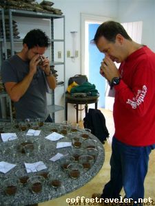 QM 2  cupping