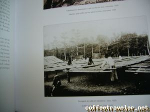 livroGraoHistoria2