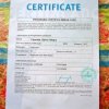 1005 CertificaMinas