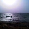 1012 Yemen5 RedSea Mocha