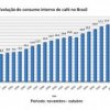 1101 AnaliseSetorial 2