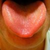1106 lingua sentence
