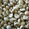 1110 Robusta Karnataka India2