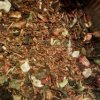 1201 Blends2 chaNatal