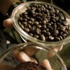 1201 Blends3 e 1