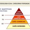903 SCAAMethod Intro v2a aula