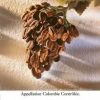 JV appellation