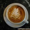 Latte wheatflower VIVACE