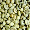Robusta Karnataka India1 1