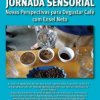 jornada sensorial bx