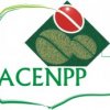 logo acenpp final
