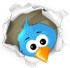 Siga-me no Twitter