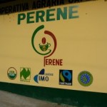 Café del Peru: Selva Central – 2