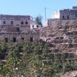 Trip to Yemen - 4: Haraz & Jabal Bura (& Yemeni Baristas!)