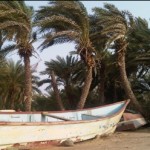 Trip to Yemen - 5: Mocha, Red Sea &Tallook 