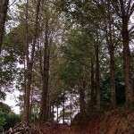 Territórios - 2